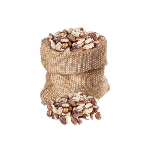 Big Nut Box Brazil Nut Kernels – Bulk 20 x 1kg - Aytac Foods Wholesale