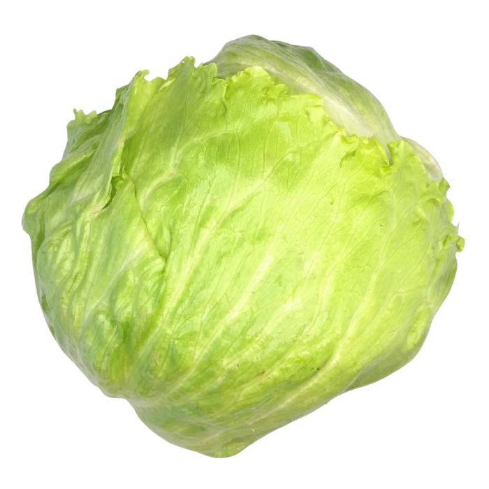 Iceberg Lettuce (10-12 pcs/box) (Netherlands) Prepack