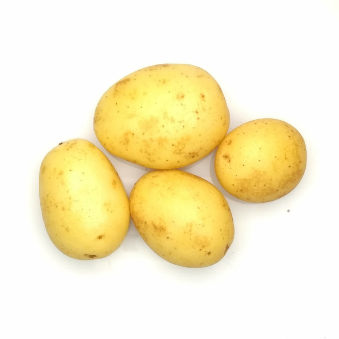 Baby Roast / Salad Potato (UK) 1x10kg