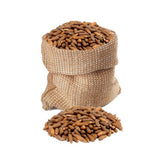 Big Nut Box - Chilgoza Pine Nuts [*Bulk] (10XKG)