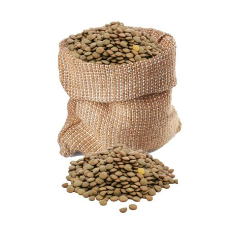 Bulk Bag - Green Lentils [*Bulk] (1x25KG) - Aytac Foods Wholesale