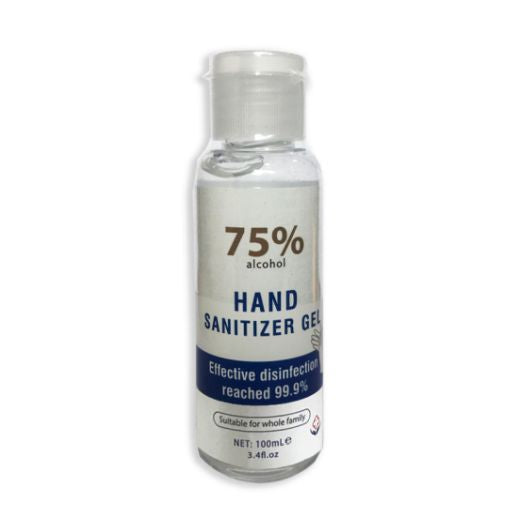 Hand Sanitizing Gel (6x100MLX20PCS)