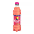 Rubicon Guava Pet (500ML) x 12 - Aytac Foods Wholesale
