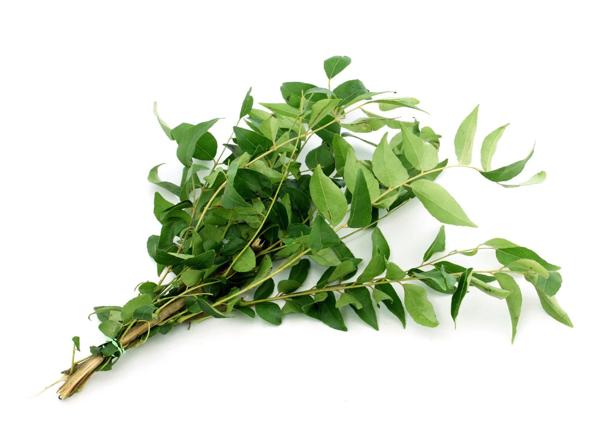 Fresh Curry Leaves Bunch