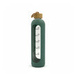 Csm Glass Drinks Bottle With Lid 1000ml - Green product image