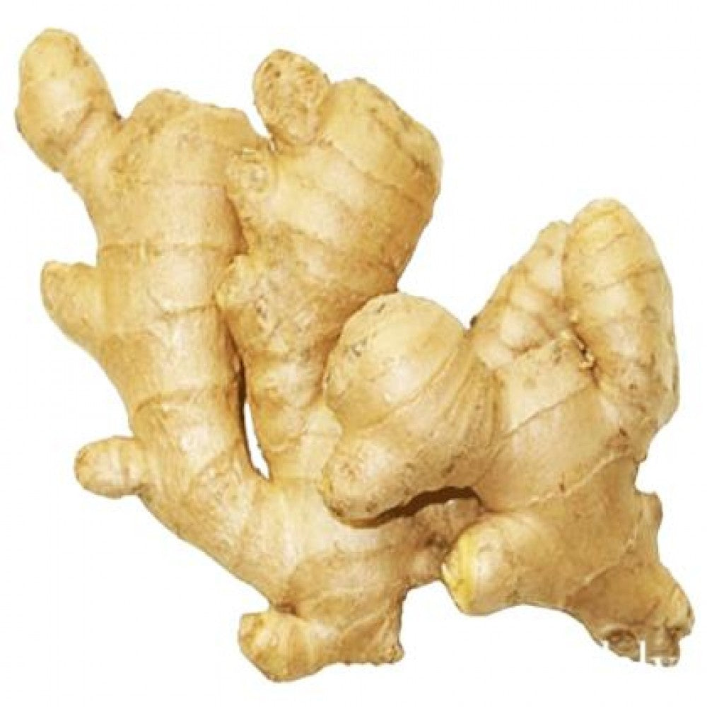 Indian Fresh Ginger (India)