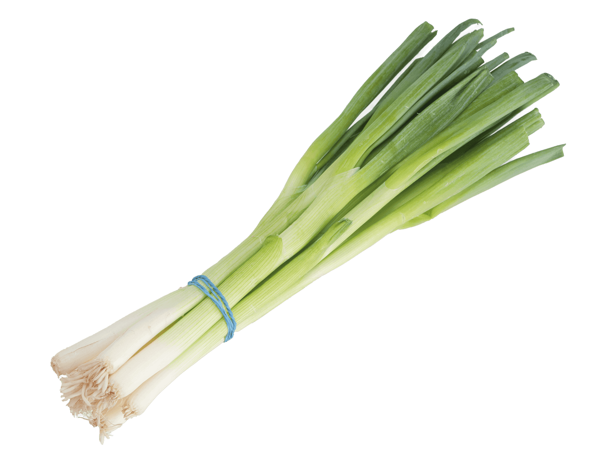 Spring Onion Bunch