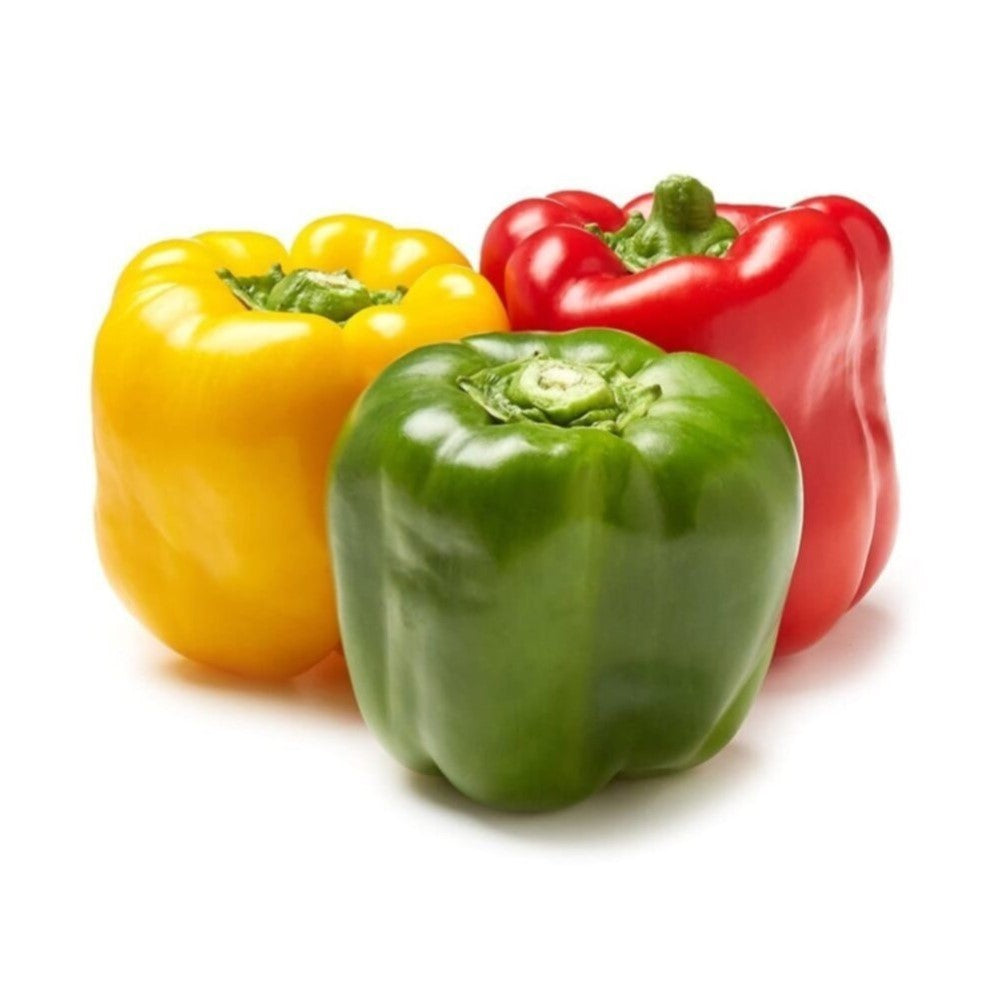 Mix Capsicum Bell Pepper (Netherlands) 15x400g Prepack