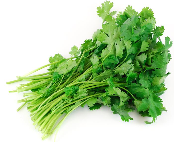 Coriander Bunch