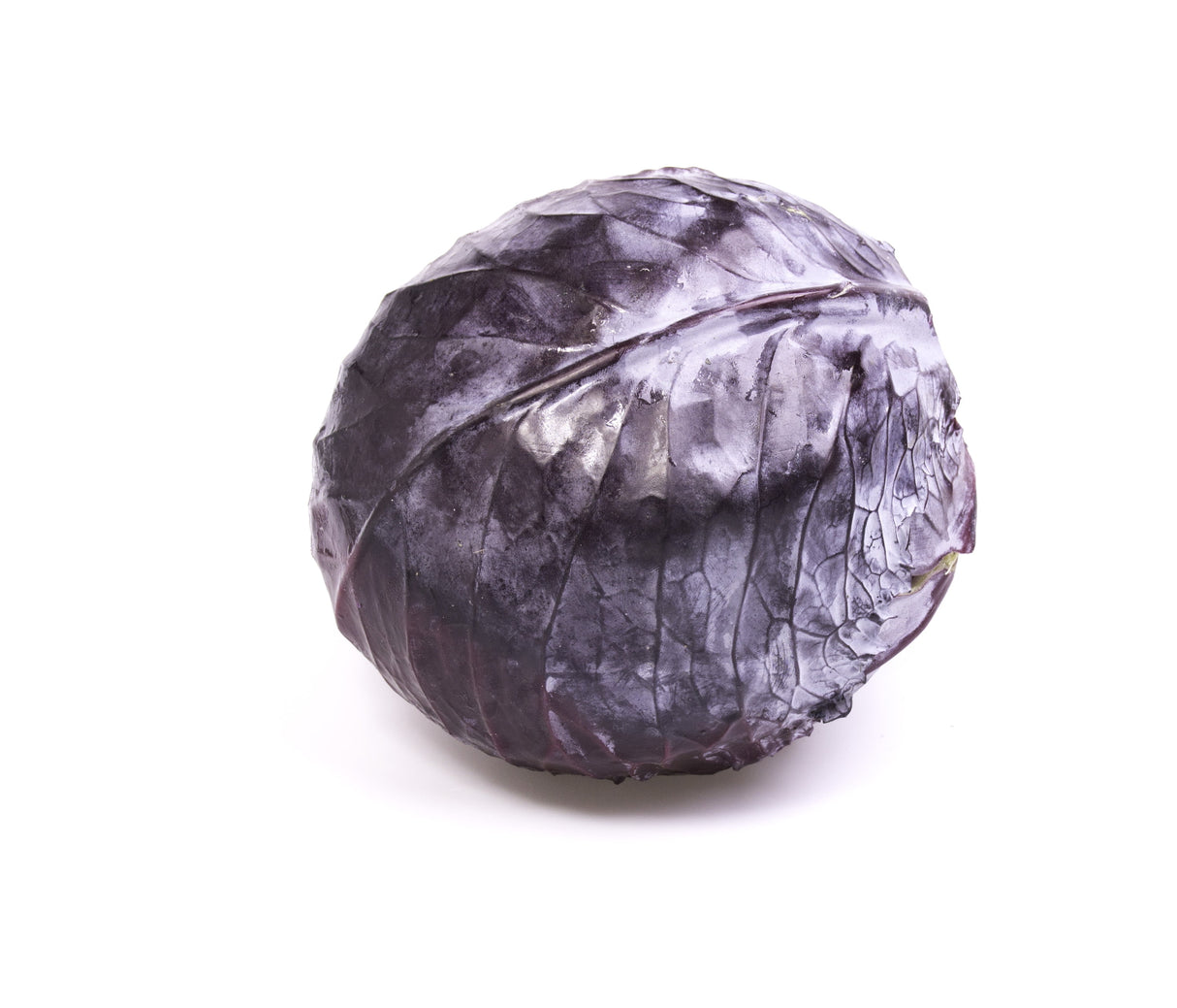 Red Cabbage (Netherlands) Loose