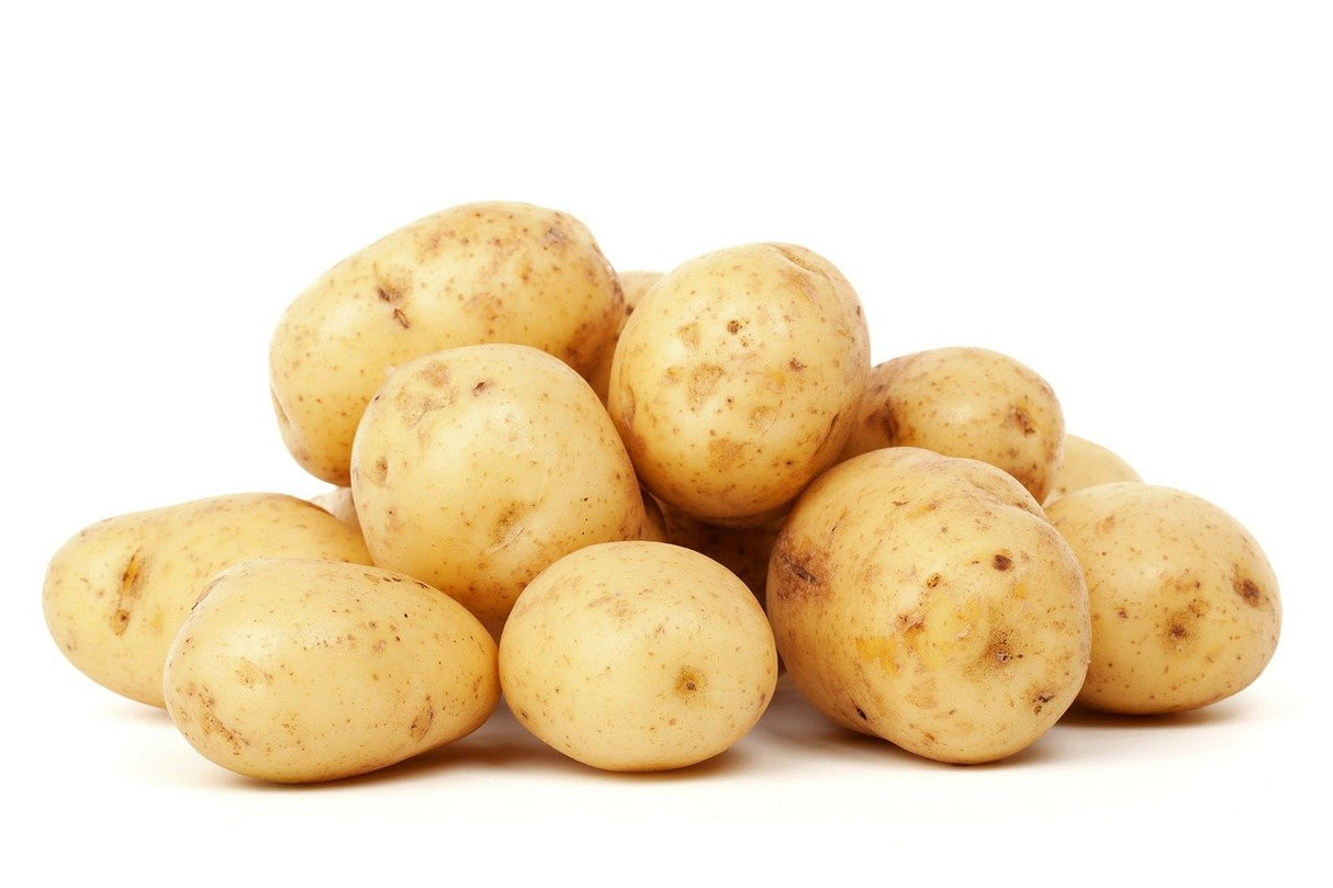 Pre Packed-White Potato (UK) 10x2kg